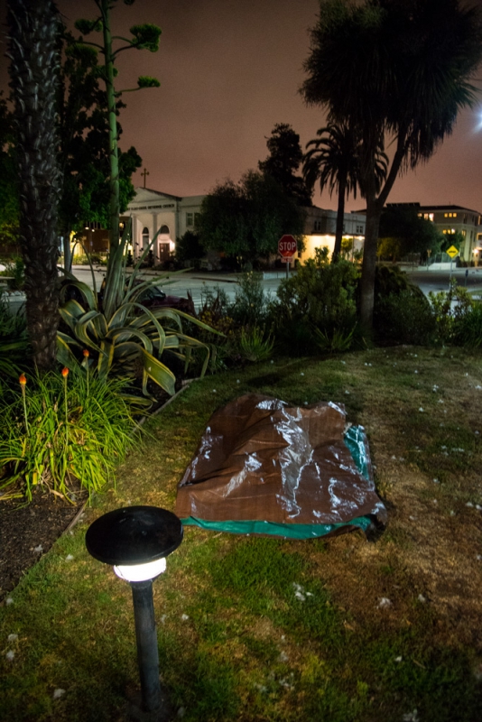 800_campout-santa-cruz-city-hall-14.jpg 